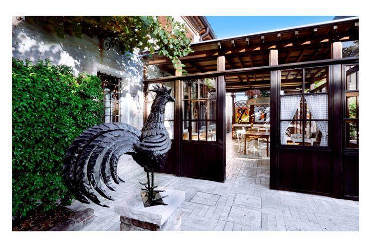 Al Gallo Nero Borgoricco Exterior photo