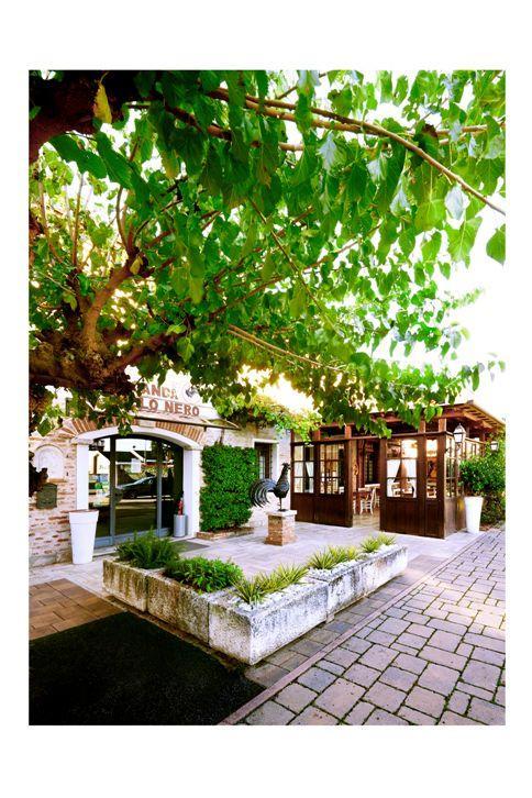 Al Gallo Nero Borgoricco Exterior photo
